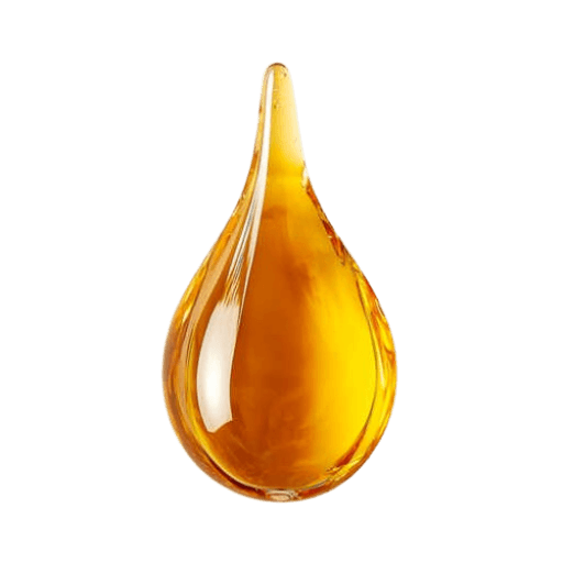 bhavishya oil